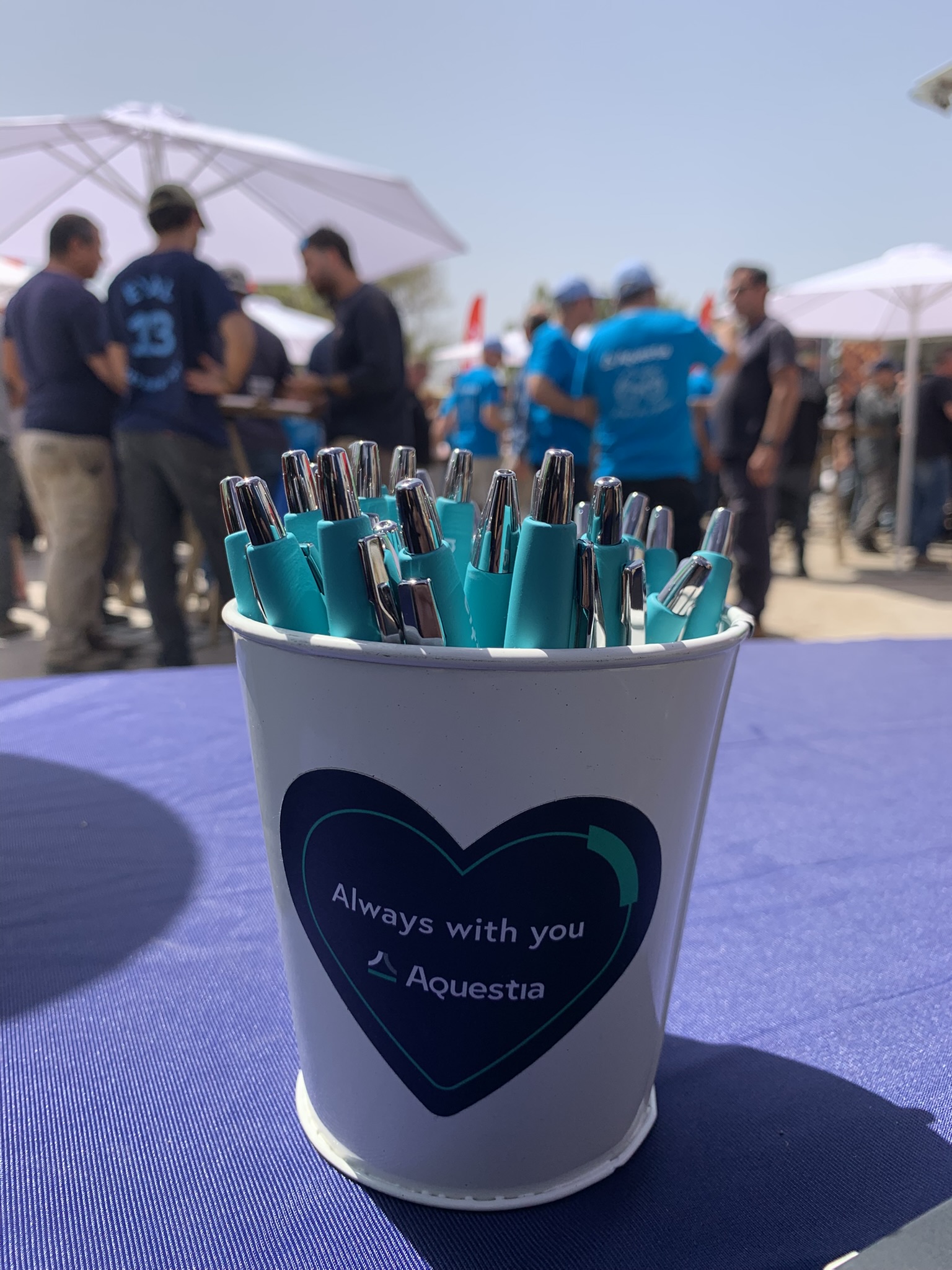 Irrigation event